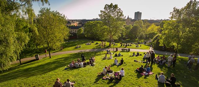 Crowds enjoy the afternoon in  park